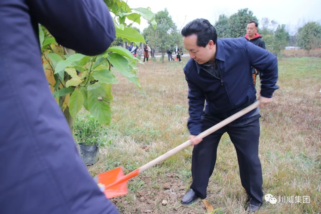 川威集團舉辦2019年植樹節(jié)活動(圖2)