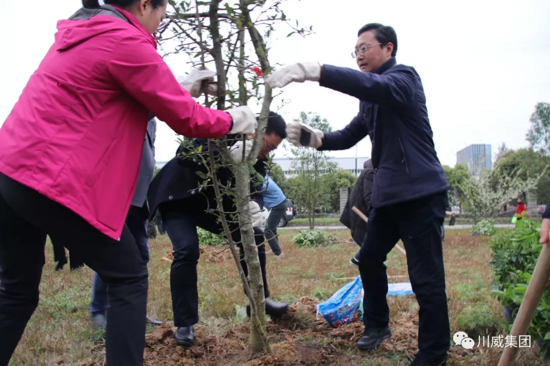 川威集團舉辦2019年植樹節(jié)活動(圖3)