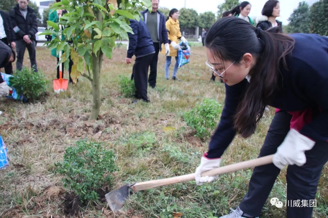 川威集團舉辦2019年植樹節(jié)活動(圖4)