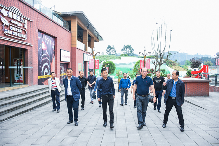 重慶能投集團渝新公司到川威集團連界區(qū)域參觀交流(圖5)