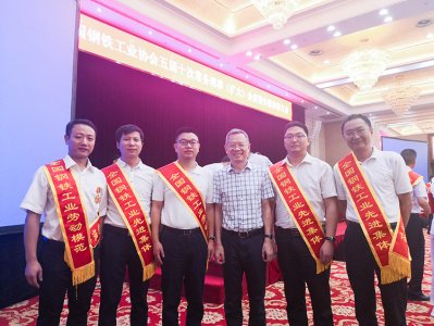 全國(guó)鋼鐵行業(yè)表彰先進(jìn)  釩鈦科技喜獲三項(xiàng)殊榮(圖6)