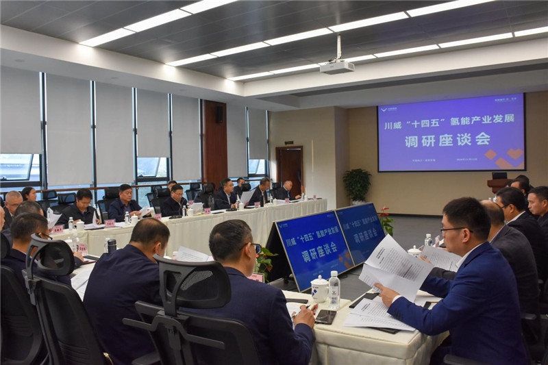 市政協(xié)主席康俊一行到川威召開“十四五”氫能產(chǎn)業(yè)發(fā)展調(diào)研座談會(圖1)