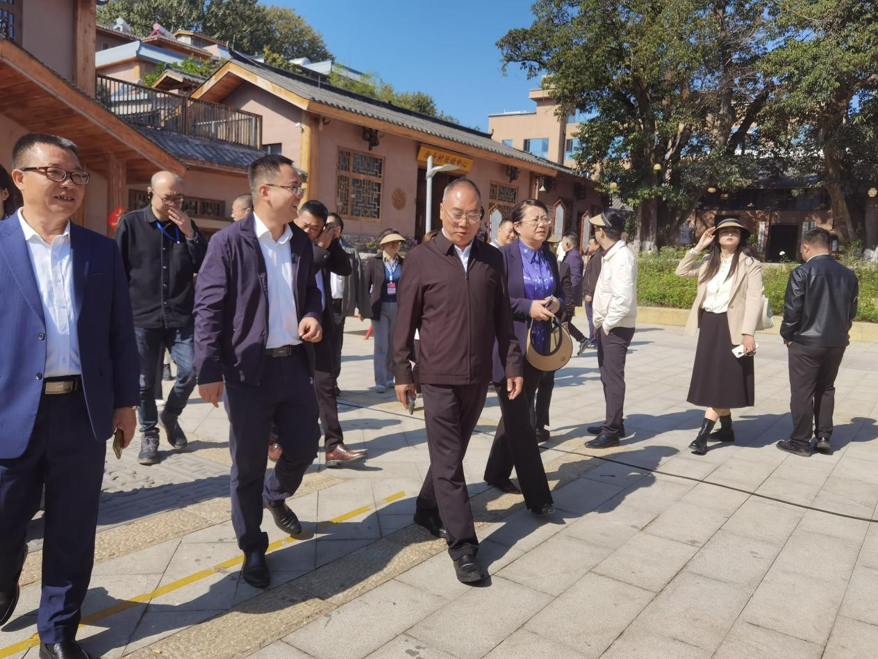 全省文化旅游融合示范項(xiàng)目工作總結(jié)交流會(huì)代表團(tuán)考察學(xué)習(xí)大石板項(xiàng)目(圖7)