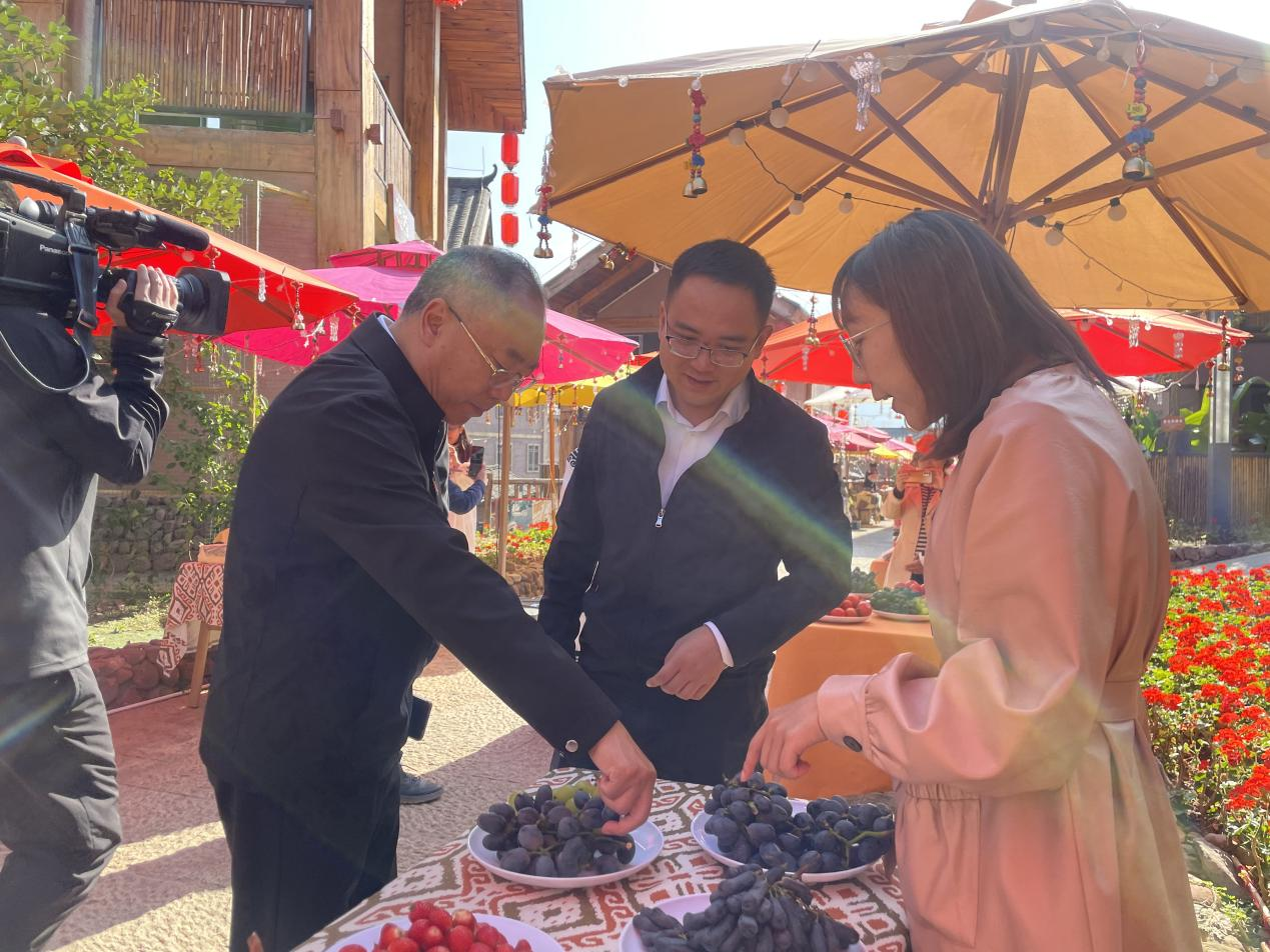 全省文化旅游融合示范項(xiàng)目工作總結(jié)交流會(huì)代表團(tuán)考察學(xué)習(xí)大石板項(xiàng)目(圖8)