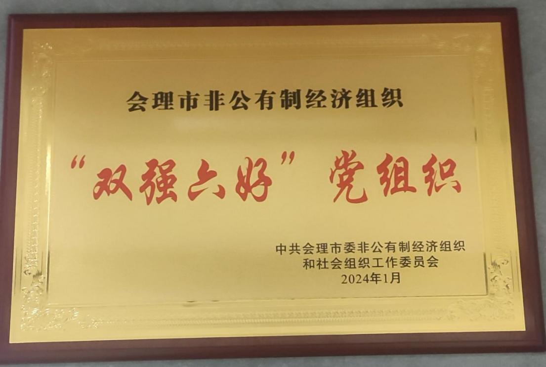 喜訊！礦業(yè)總公司財通公司黨支部榮獲會理市“雙強六好”黨組織稱號