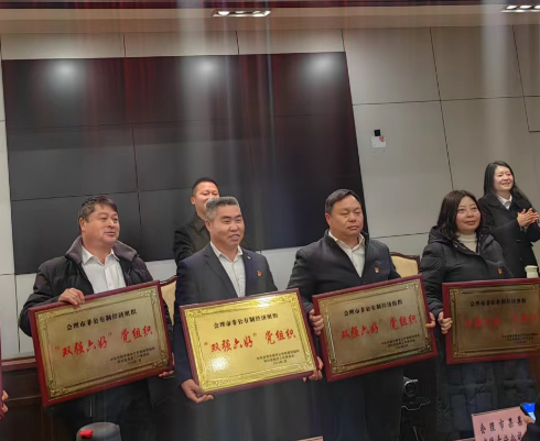 喜訊！礦業(yè)總公司財通公司黨支部榮獲會理市“雙強六好”黨組織稱號(圖2)