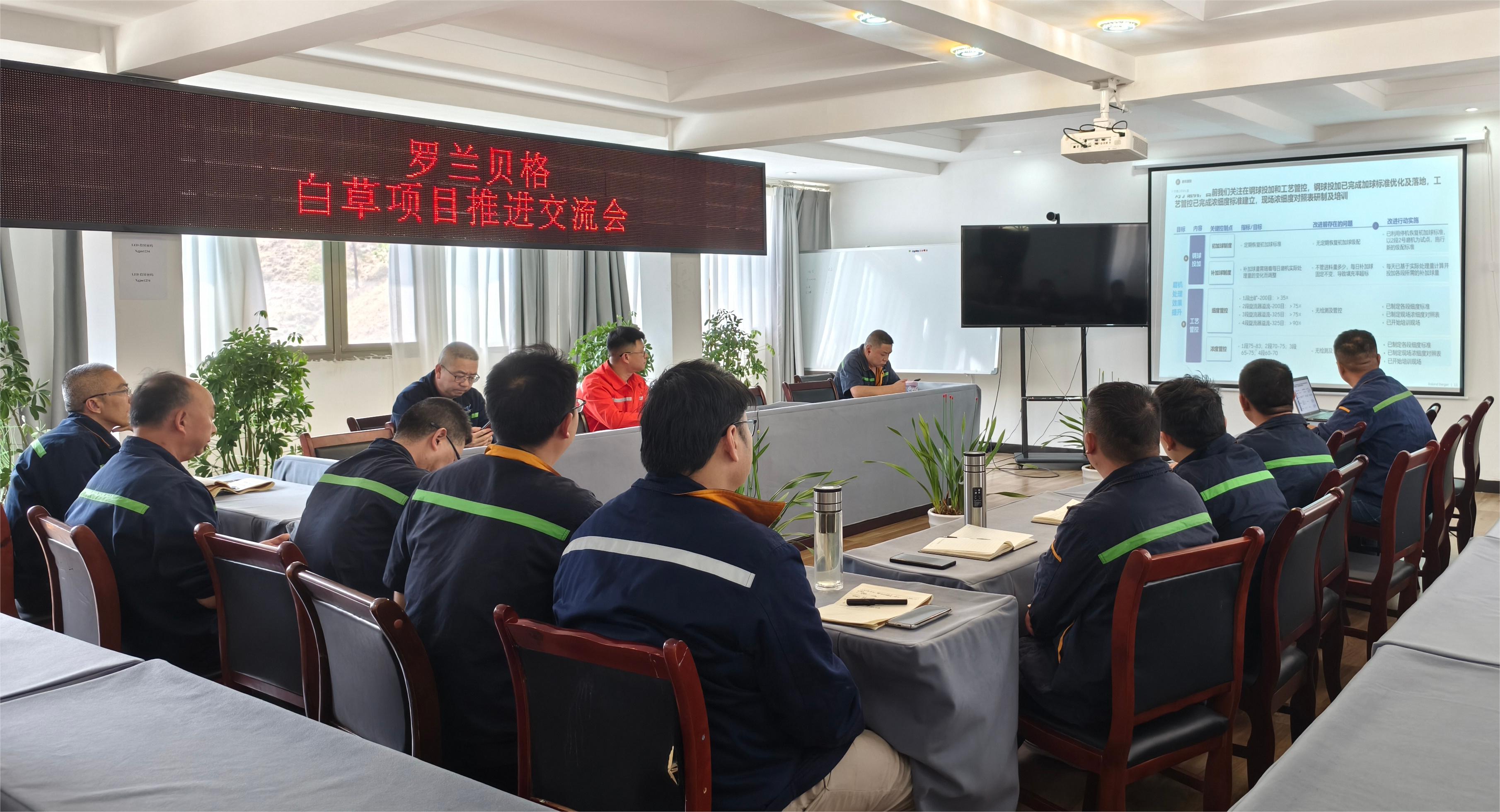 礦業(yè)總公司召開羅蘭貝格第九周項目階段匯報會(圖3)