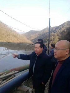 集團公司首席市場官張遠(yuǎn)貴調(diào)研 陜南釩鈦鐵礦市場
