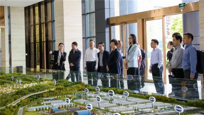 市委書記鄭莉蒞臨川威調研指導轉型發(fā)展工作